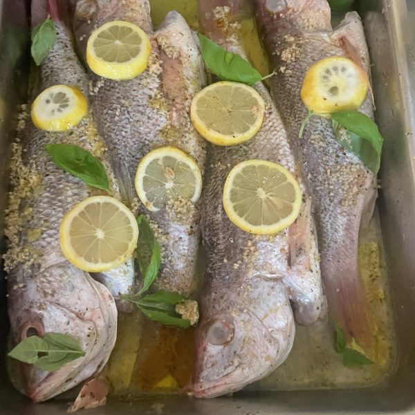fish for oven